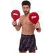 Ракетка для тхэквондо одинарная PU FAIRTEX BXP1 2шт цвета в ассортименте BXP1 фото 8