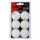 Набір м'ячів для настільного тенісу DUNLOP DL679345 CLUB CHAMP 6шт білий DL679345 фото 1
