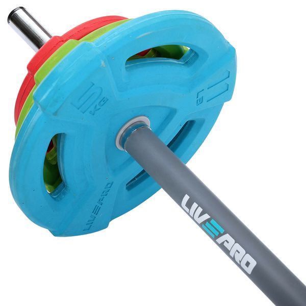 Штанга разборная для фитнеса и аэробики фитнес памп LiveUp LP8031 длина-1,4м 25мм 20кг разноцветный LP8031 фото