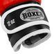 Рукавиці боксерські професійні на липучці шкіряні ФБУ BOXER Profi BO-2001 10-12унцій кольори в асортименті 10 унції BO-2001 фото 7