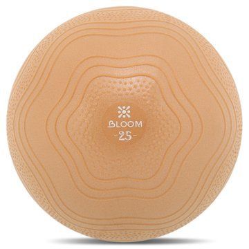 Мяч для пилатеса и йоги BLOOM MINI PILATES BALLl LB7001-25 25см цвета в ассортименте LB7001-25 фото