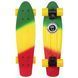 Пенни борд Penny Board круизер пластиковый 22' FISH COLOR SK-402-11 салатовый-желтый-красный SK-402-11 фото 1