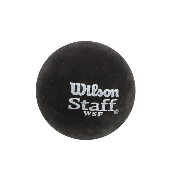 Мяч для сквоша WILSON STAFF SQUASH 2 BALL BL DOT WRT617500 2шт черный WRT617500 фото