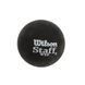 Мяч для сквоша WILSON STAFF SQUASH 2 BALL BL DOT WRT617500 2шт черный WRT617500 фото 3