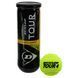 Мячи для большого тенниса DUNLOP TOUR BRILLIANCE DL601326 3шт салатовый DL601326 фото 1