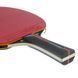 Ракетка для настольного тенниса DUNLOP BLACKSTORM SPIN MT-679200 MT-679200 фото 5