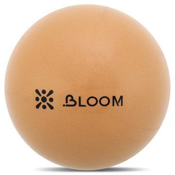 Мяч для пилатеса и йоги Mini Pilates Ball BLOOM LB7000-20 20см цвета в ассортименте LB7000-20 фото