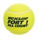Мячи для большого тенниса DUNLOP FORT TOURNAMENT SELECT DL601315 3шт салатовый DL601315 фото 4