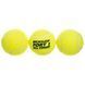 Мячи для большого тенниса DUNLOP FORT TOURNAMENT SELECT DL601315 3шт салатовый DL601315 фото 3