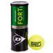 Мячи для большого тенниса DUNLOP FORT TOURNAMENT SELECT DL601315 3шт салатовый DL601315 фото 1