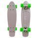 Пенни борд Penny Board круизер пластиковый 22' FISH SK-401-38 серый-белый-салатовый SK-401-38 фото 1