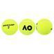 Мячи для большого тенниса DUNLOP AUSTRALIAN OPEN DL601354 3 шт салатовый DL601354 фото 3