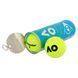 Мячи для большого тенниса DUNLOP AUSTRALIAN OPEN DL601354 3 шт салатовый DL601354 фото 6