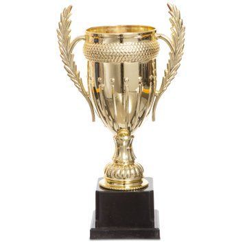 Кубок спортивный наградной SP-Sport Success JZ001-1B высота 31см золотой JZ001-1B фото