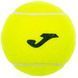 М'ячі для падел тенісу Joma PADEL TOURNAMENT 3шт салатовий 400999-900 фото 4