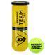 Мячи для большого тенниса DUNLOP TEAM PADEL DL601385 3шт салатовый DL601385 фото 1