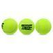 Мячи для большого тенниса DUNLOP TEAM PADEL DL601385 3шт салатовый DL601385 фото 2