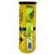 Мячи для большого тенниса DUNLOP TEAM PADEL DL601385 3шт салатовый DL601385 фото 6
