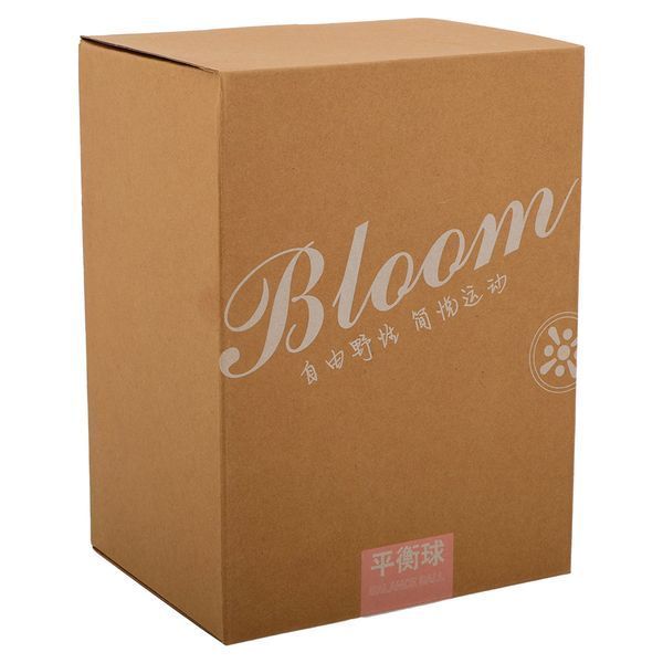 Фитбол мяч для баланса Пончик сатин BLOOM LB7050 o55см цвета в ассортименте LB7050 фото