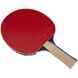 Ракетка для настільного тенісу BUTTERFLY TIMO BOLL SILVER 85016 85016 фото 3