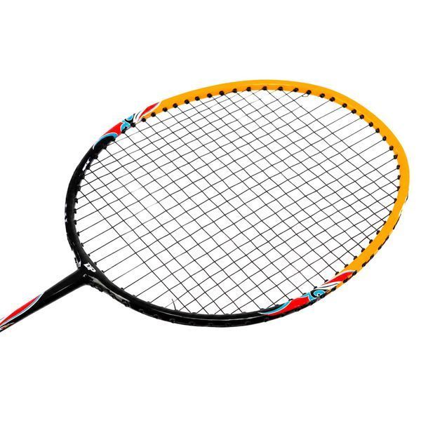Набор для бадминтона в чехле SP-Sport DP-1018 DP-1018 фото