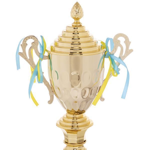 Кубок спортивный с ручками и крышкой SP-Sport Will HQ884C высота 35см золотой HQ884C фото
