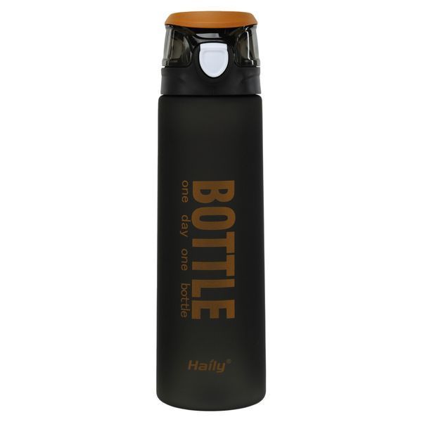 Бутылка для воды HAILY BOTTLE HL-8602 1000мл цвета в ассортименте HL-8602 фото