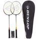 Набор для бадминтона 2 ракетки 2 волана в чехле DUNLOP BLAST SS 30 DL13003711 цвета в ассортименте DL13003711 фото 1