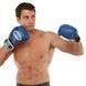 Рукавиці боксерські на липучці шкіряні BOXER 2023 10-12унцій кольори в асортименті 10 унції 2023 фото 17