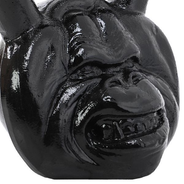 Гиря тренировочная цельная чугунная Iron head Monkey Zelart TA-9930 вес 25кг черный TA-9930 фото