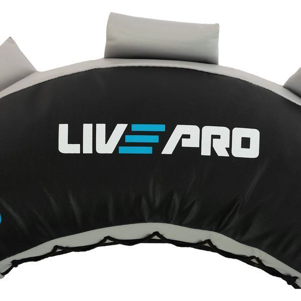 Мешок Болгарский Bulgarian bag LiveUp LP8130-8 8кг черный-синий LP8130-8 фото