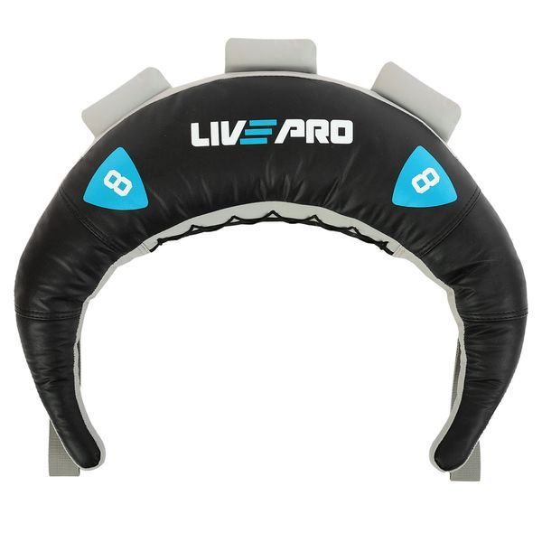 Мешок Болгарский Bulgarian bag LiveUp LP8130-8 8кг черный-синий LP8130-8 фото