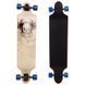 Лонгборд Бордволкинг Boardwalking из канадского клена SP-Sport SK-908 цвета в ассортименте SK-908 фото 5