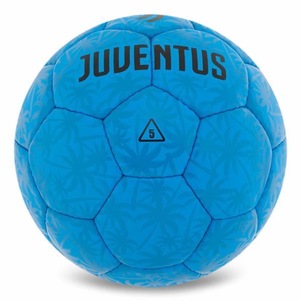 М'яч футбольний BALLONSTAR JUVENTUS FB-0047-788 №5 PU синій FB-0047-788 фото