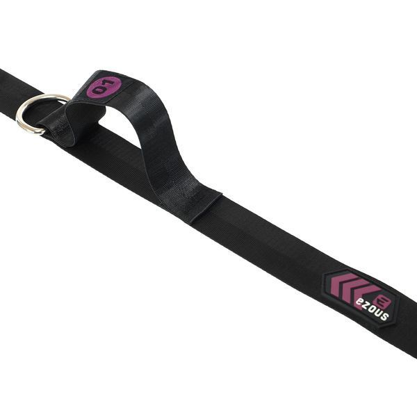 Дверной фиксатор Якорь для эспандеров FASTEN TYPE DOOR ANCHOR EZOUS G-05 черный-фиолетовый G-05 фото