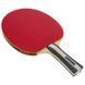 Ракетка для настільного тенісу DUNLOP FLUX NEMESIS MT-679204 MT-679204 фото 2