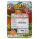 Фингерборд набор для пальцев 3 фингерборда DINOSAUR SH093446 SH093446 фото 10