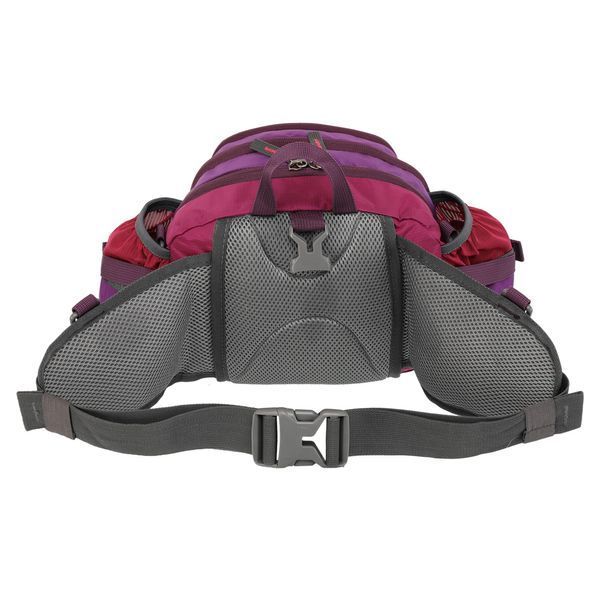 Сумка на пояс спортивная многофункциональная 3в1 COLOR LIFE WAIST BAG TY-5335 цвета в ассортименте TY-5335 фото