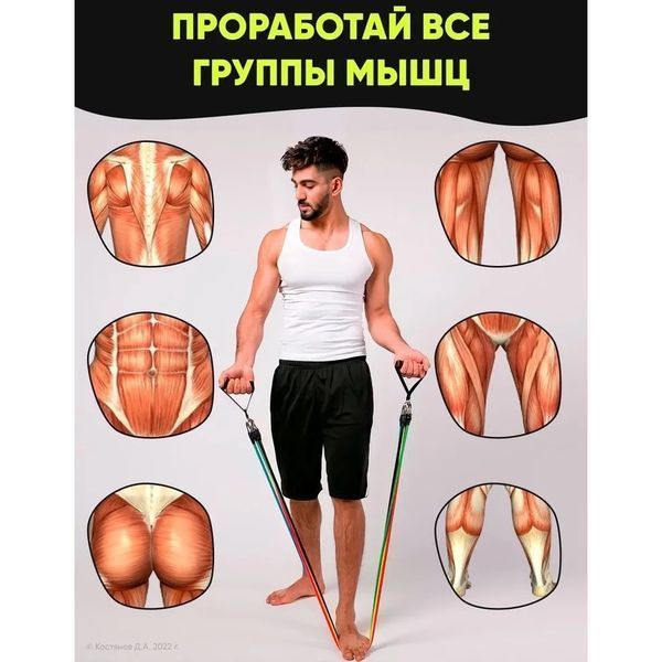 Еспандер гума для зарядок exercise pipe, еспандер гумовий джгут вправи, Фітнес гумки 5 в 1 ws79339 фото