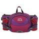 Сумка на пояс спортивная многофункциональная 3в1 COLOR LIFE WAIST BAG TY-5335 цвета в ассортименте TY-5335 фото 29