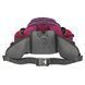 Сумка на пояс спортивная многофункциональная 3в1 COLOR LIFE WAIST BAG TY-5335 цвета в ассортименте TY-5335 фото 31