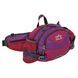 Сумка на пояс спортивная многофункциональная 3в1 COLOR LIFE WAIST BAG TY-5335 цвета в ассортименте TY-5335 фото 28