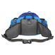 Сумка на пояс спортивная многофункциональная 3в1 COLOR LIFE WAIST BAG TY-5335 цвета в ассортименте TY-5335 фото 27