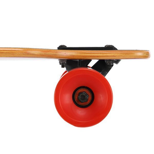 Лонгборд Бордволкинг Boardwalking из канадского клена SP-Sport SK-907 цвета в ассортименте SK-907 фото