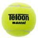 Мячи для большого тенниса TELOON MASTER-801 801-60 60шт салатовый 801-60 фото 3