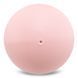 М'яч для пілатесу та йоги BLOOM PREMIUM PILATES BALL LB7003-20 20см LB7003-20 фото